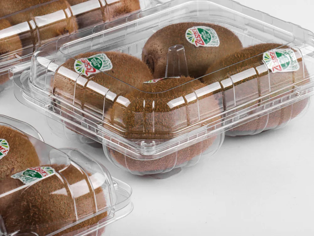 STL-016Z kiwi clamshell container holding six fresh kiwis (white bg)