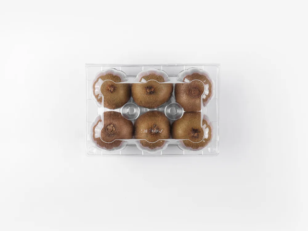 STL-016Z kiwi clamshell container holding six fresh kiwis (white bg)