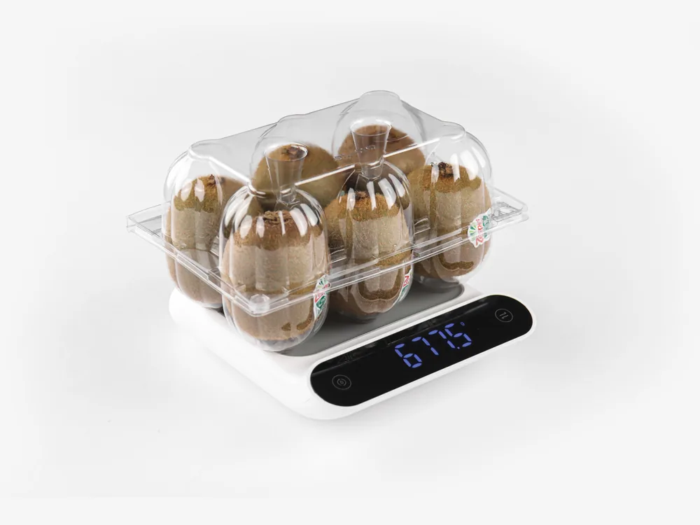 STL-016Z kiwi clamshell container holding six fresh kiwis (white bg)