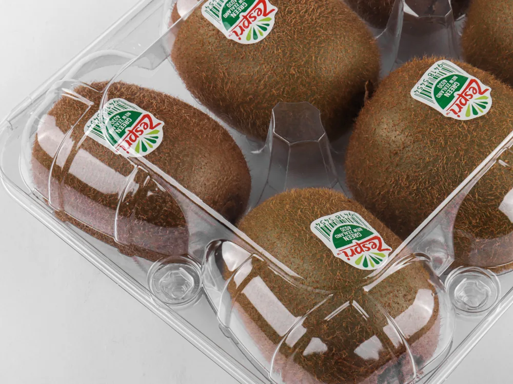 STL-016Z kiwi clamshell container holding six fresh kiwis (white bg)