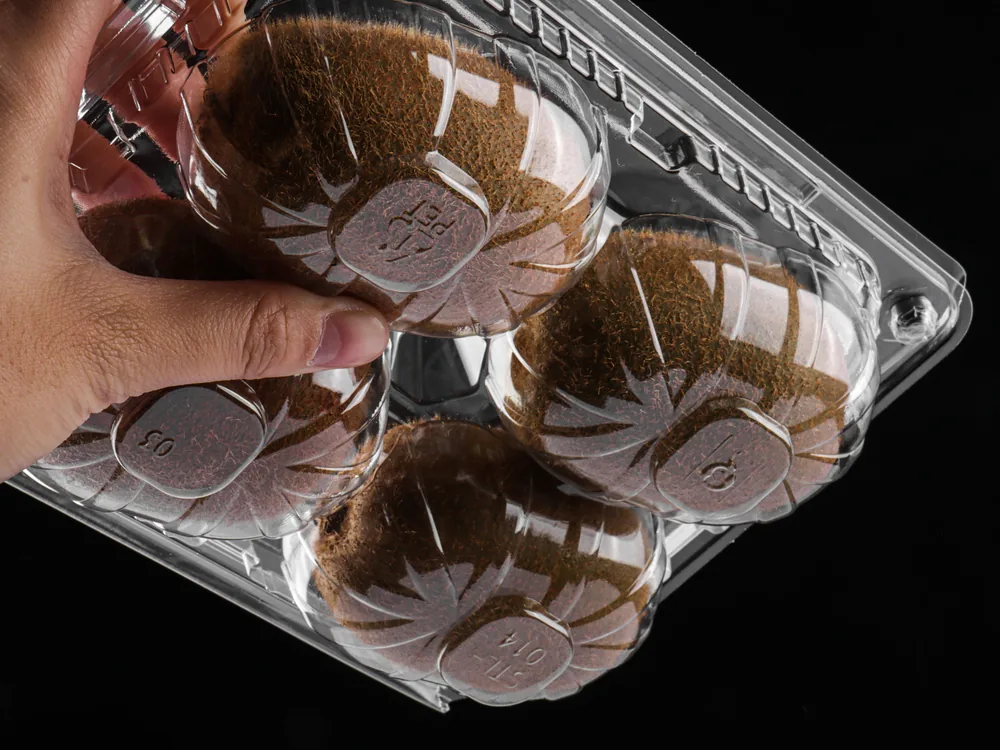 STL-016Z kiwi clamshell container holding six fresh kiwis (black bg)