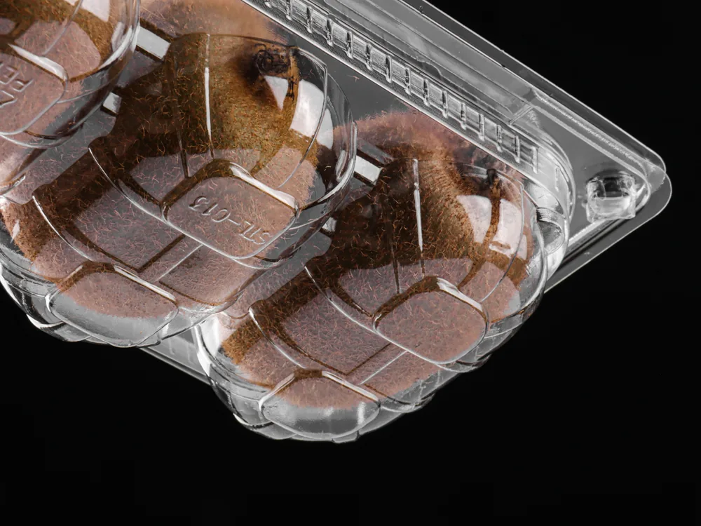 STL-016Z kiwi clamshell container holding six fresh kiwis (black bg)