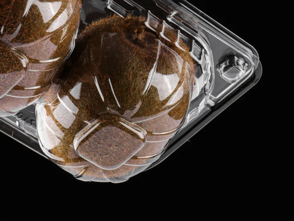 STL-016Z kiwi clamshell container holding six fresh kiwis (black bg)