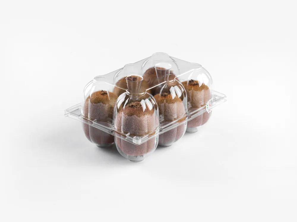 STL-016Z kiwi clamshell packaging featuring six fresh kiwis — clear plastic fruit container