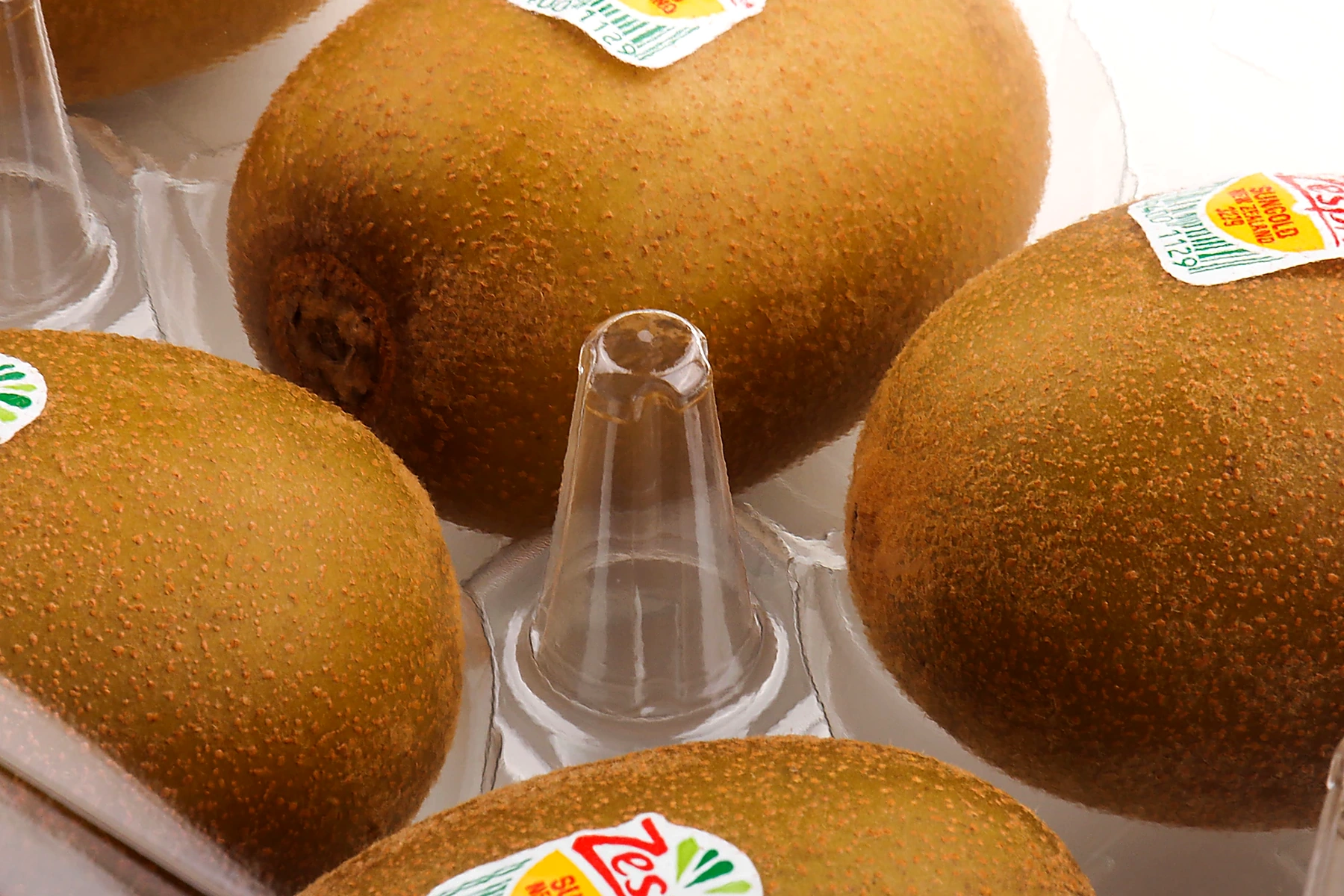 STL-018D kiwi clamshell packaging close-up detail