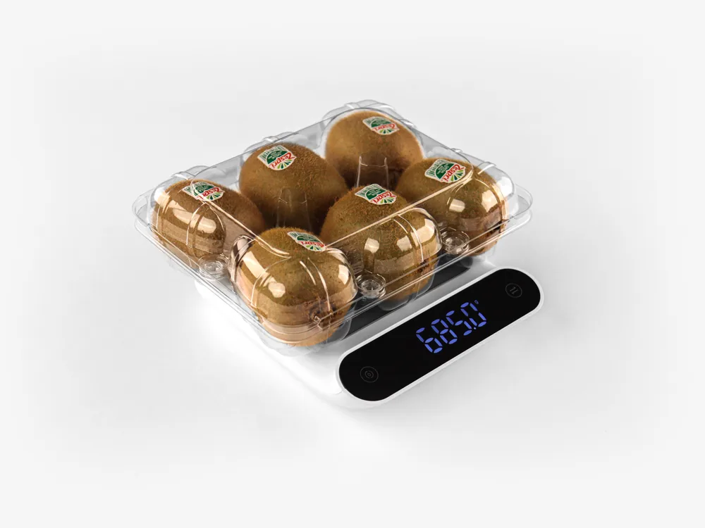 STL-036S-4 kiwi clamshell container holding six fresh kiwis (white bg)