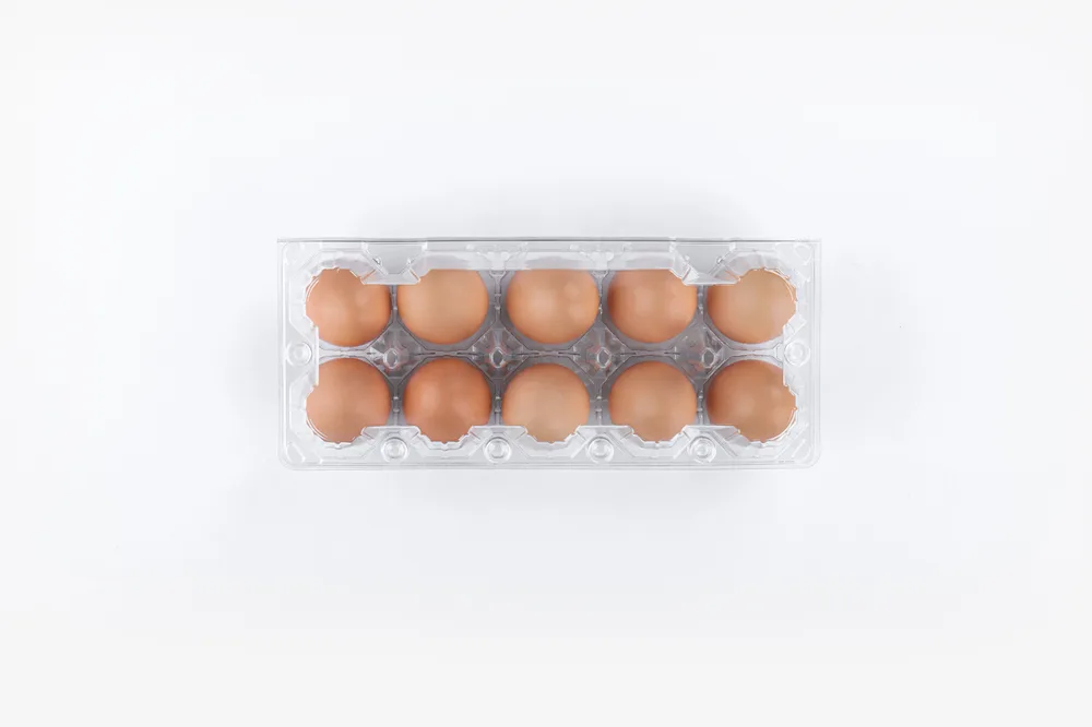 STL-10M-ChickenEgg-WhiteBackground-2