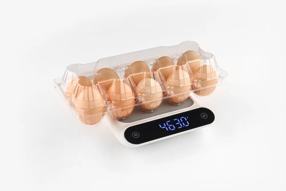 STL-10M-ChickenEgg-WhiteBackground-3