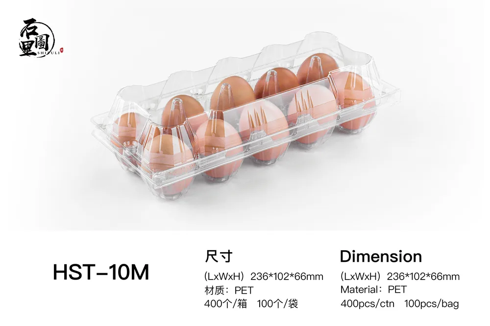 STL-10M-ChickenEgg-WhiteBackground-4