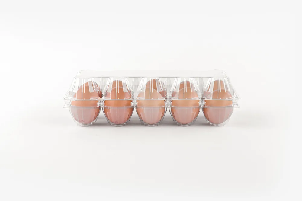 STL-10M-ChickenEgg-WhiteBackground-5