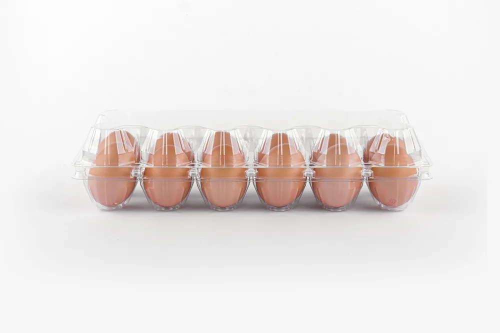 STL-12M-Long-Type-ChickenEgg-WhiteBackground-1
