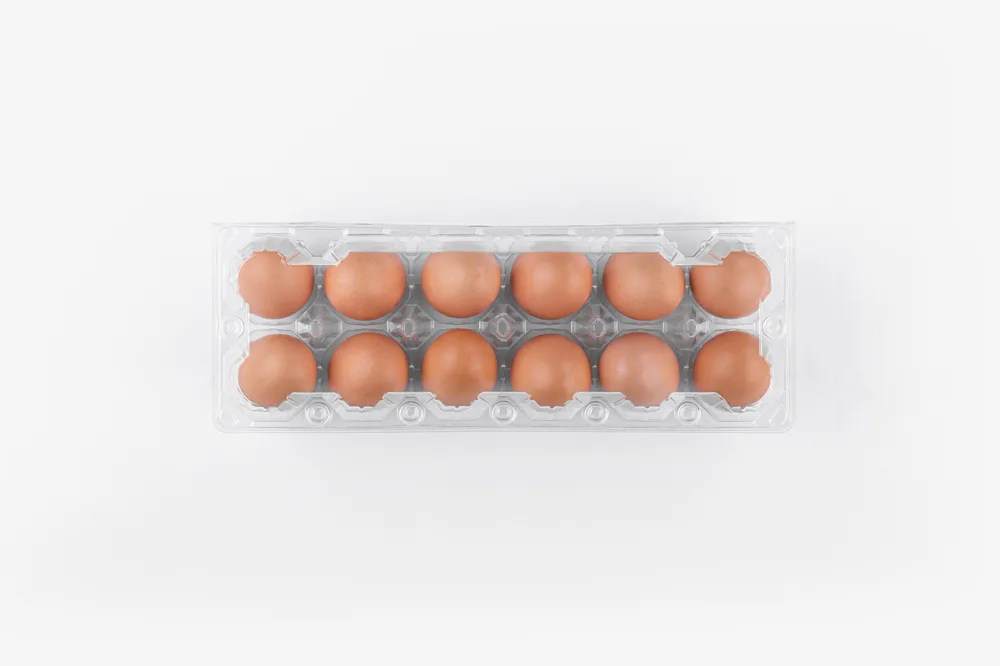STL-12M-Long-Type-ChickenEgg-WhiteBackground-3