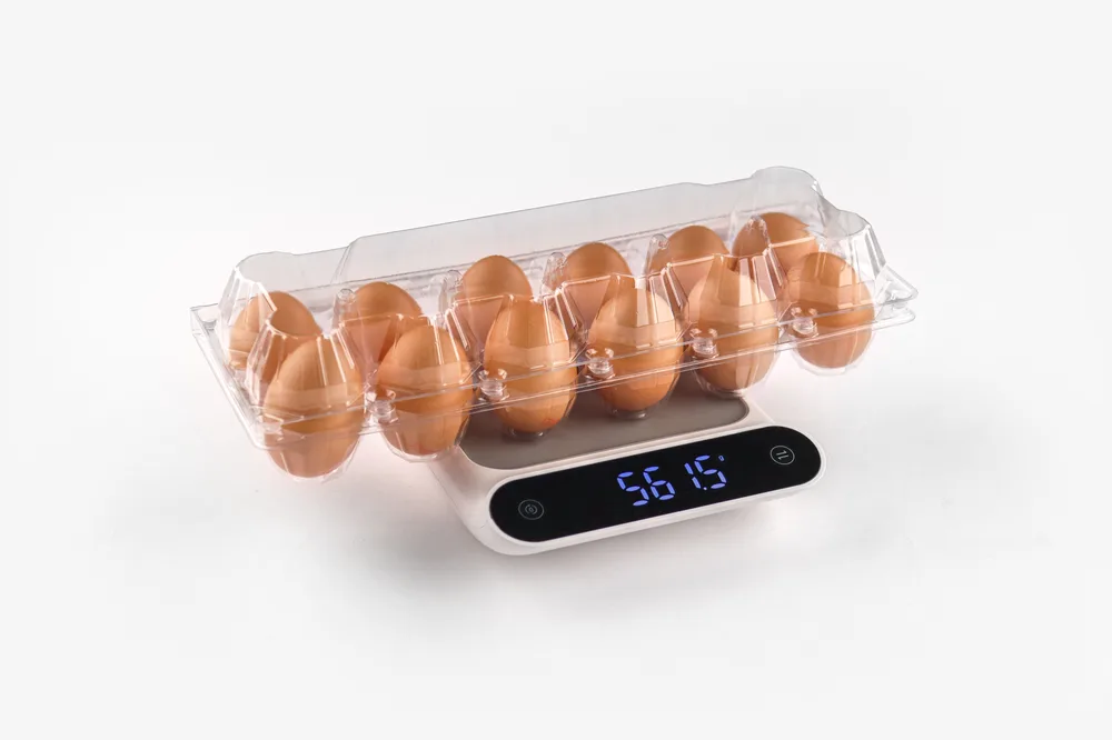 STL-12M-Long-Type-ChickenEgg-WhiteBackground-4