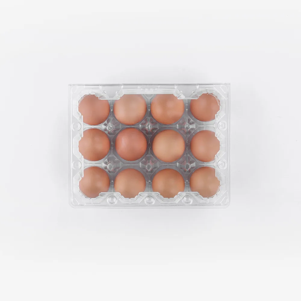 STL-12M-Wide-Type-ChickenEgg-1