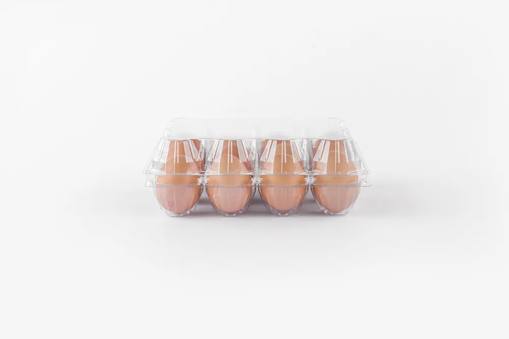 STL-12M-Wide-Type-ChickenEgg-FrontView-7