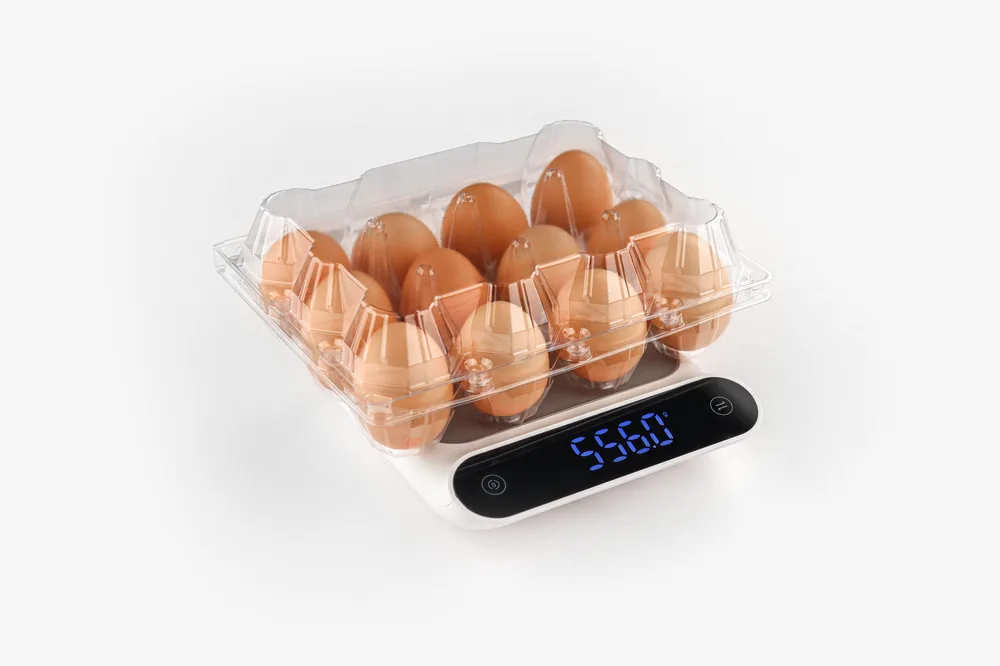 STL-12M-Wide-Type-ChickenEgg-ScalePhoto-6