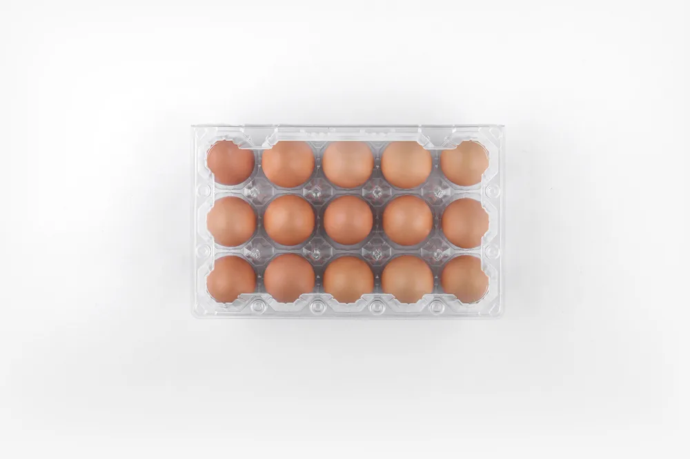 STL-15M-ChickenEgg-WhiteBackground-2