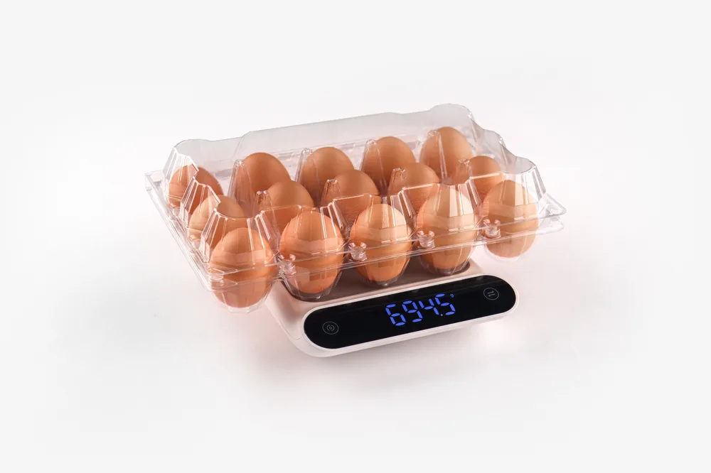 STL-15M-ChickenEgg-WhiteBackground-3