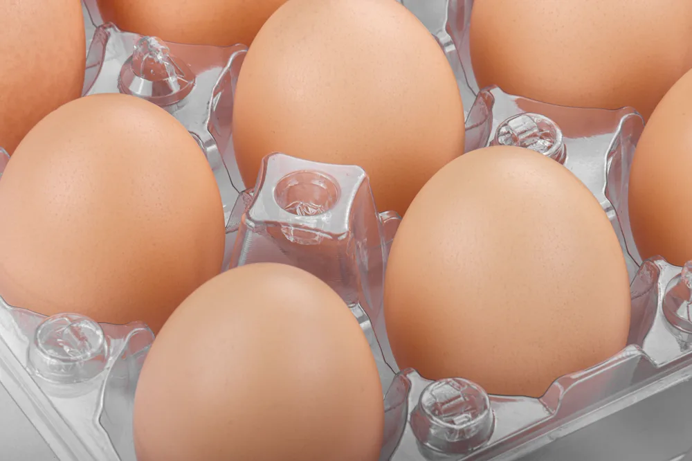 STL-15M-ChickenEgg-WhiteBackground-4