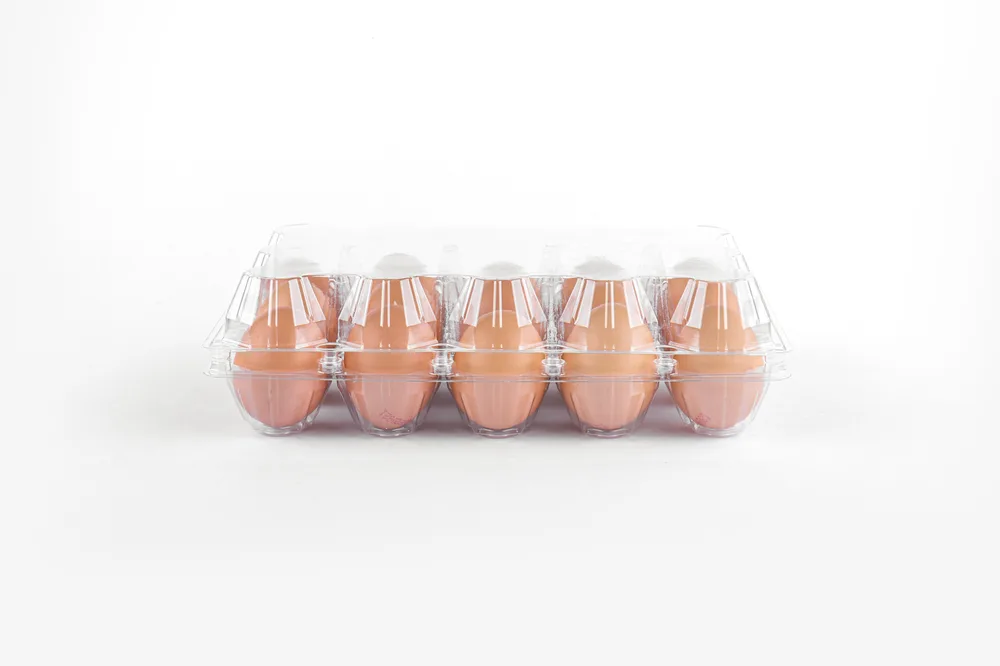 STL-15M-ChickenEgg-WhiteBackground-6