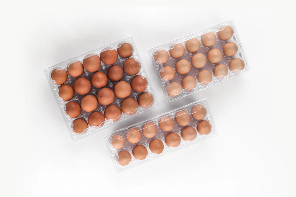 STL-20M-ChickenEgg-WhiteBackground-1