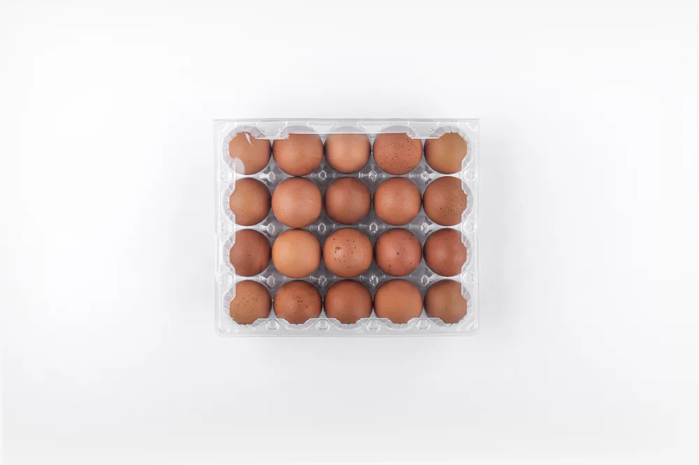 STL-20M-ChickenEgg-WhiteBackground-3