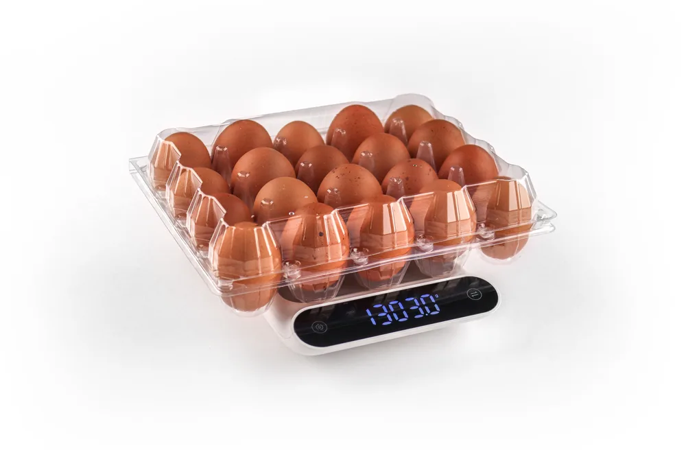 STL-20M-ChickenEgg-WhiteBackground-4