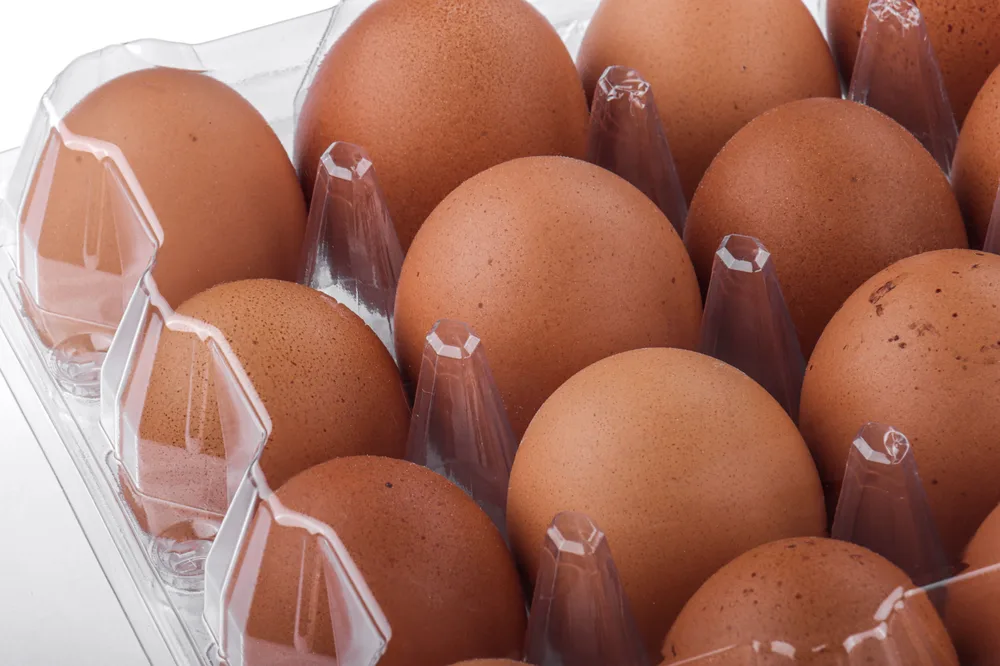 STL-20M-ChickenEgg-WhiteBackground-5