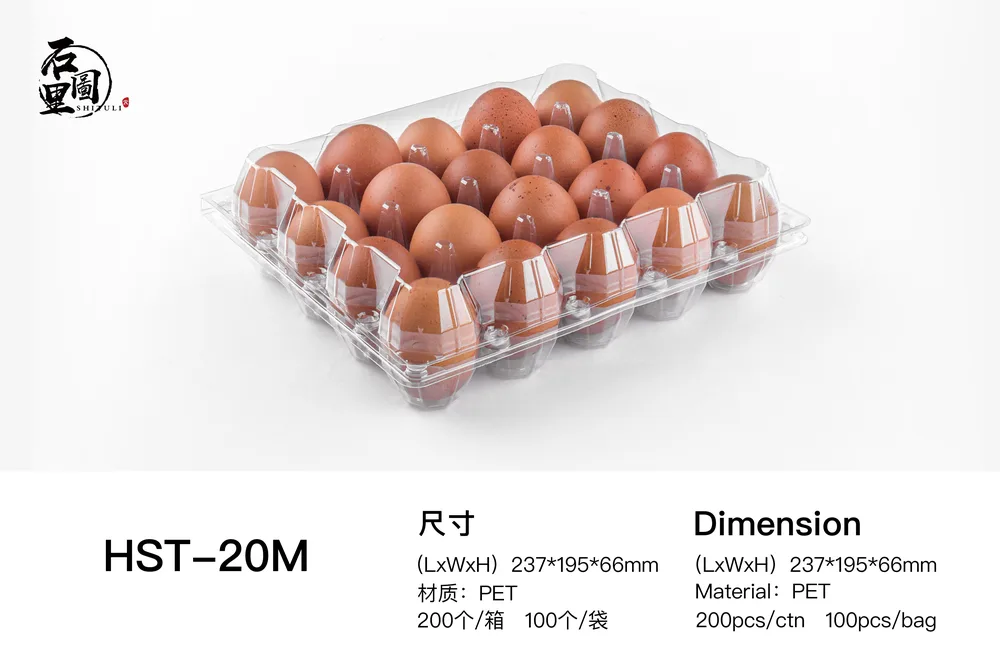 STL-20M-ChickenEgg-WhiteBackground-7