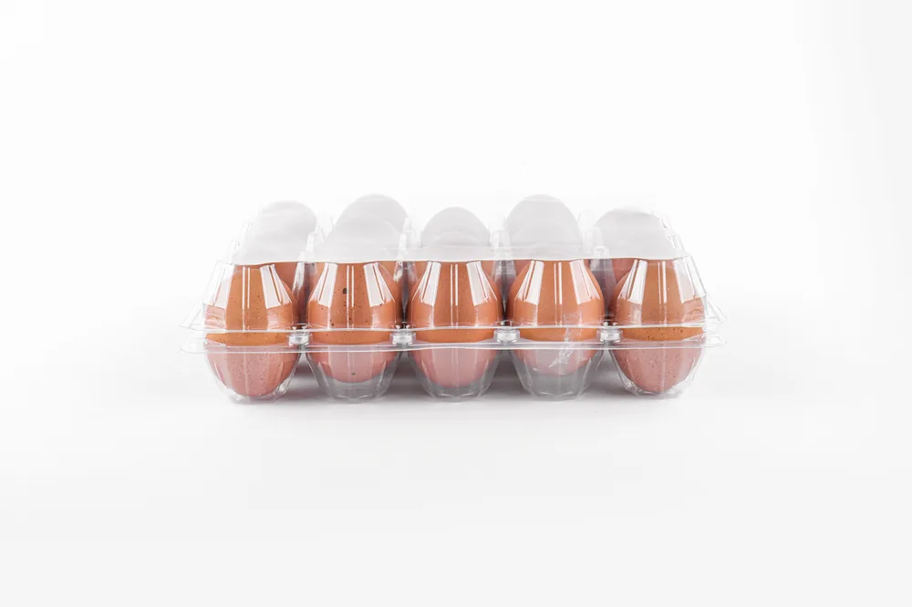 STL-20M-ChickenEgg-WhiteBackground-8