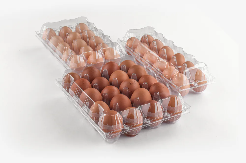 STL-20M-ChickenEgg-WhiteBackground-9