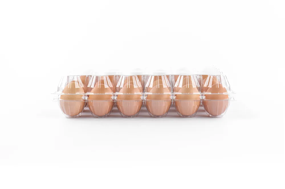 STL-30M-ChickenEgg-WhiteBackground-1