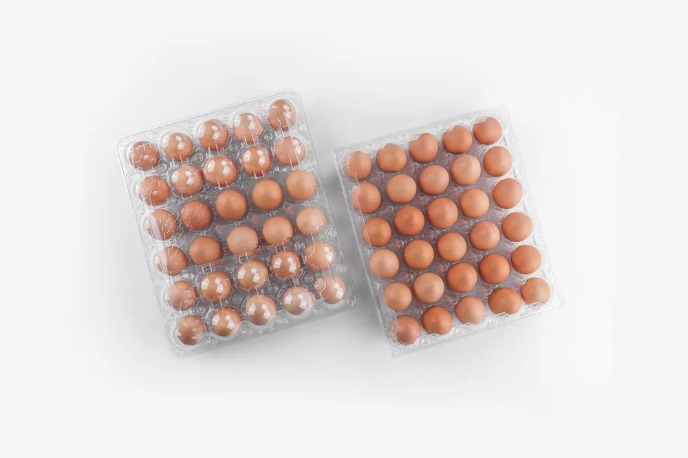 STL-30M-ChickenEgg-WhiteBackground-10