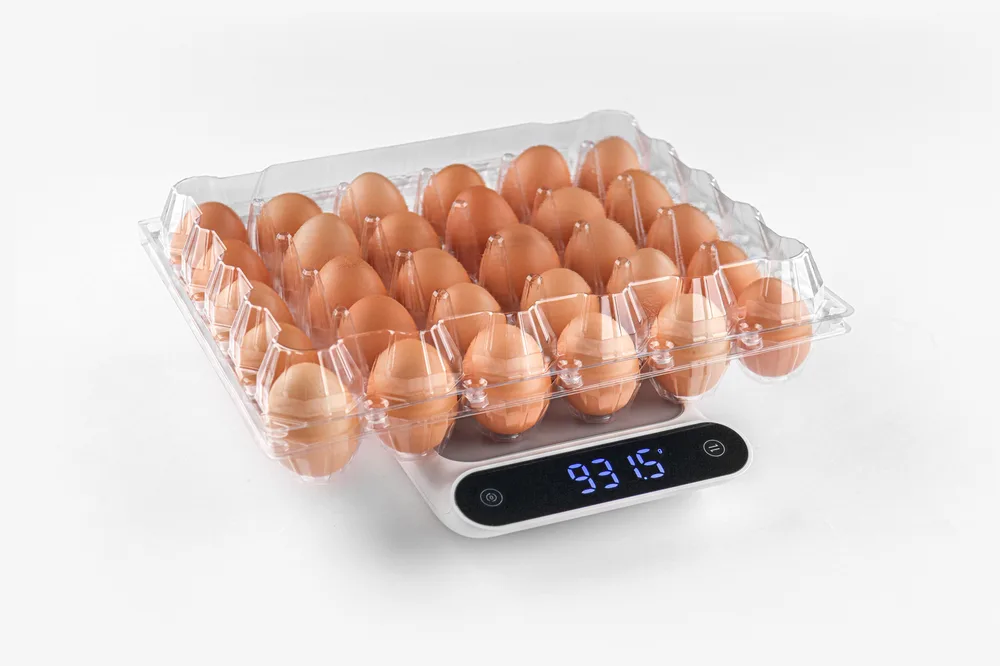 STL-30M-ChickenEgg-WhiteBackground-4