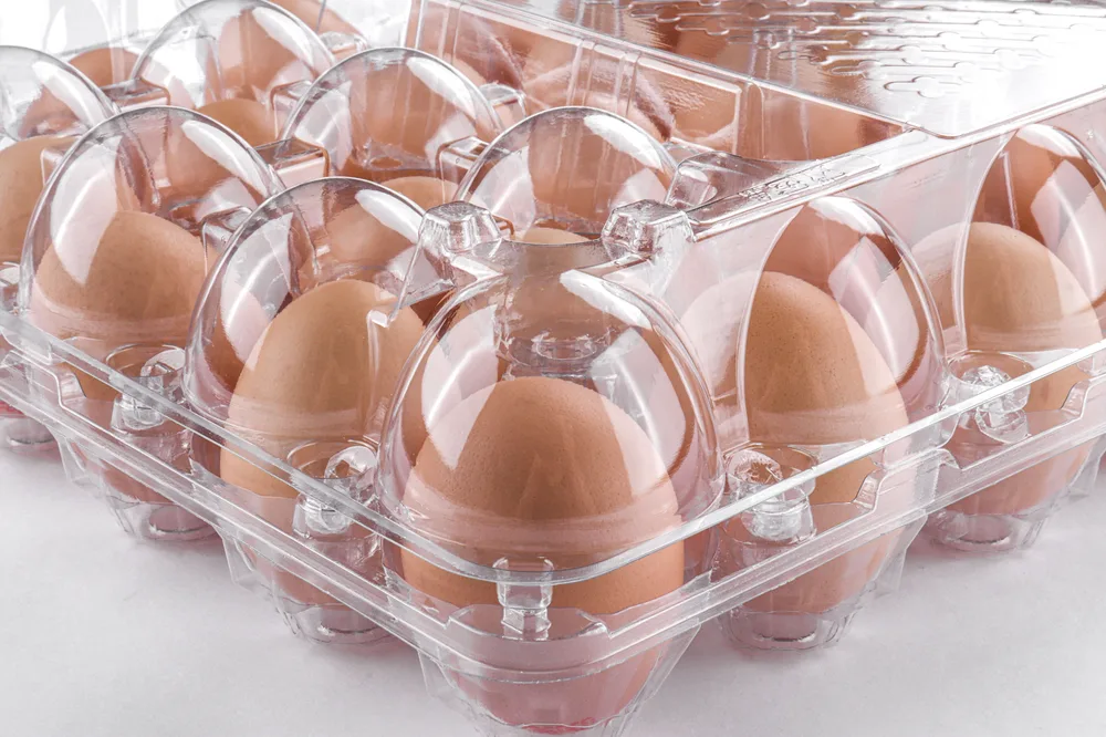 STL-30M-ChickenEgg-WhiteBackground-6