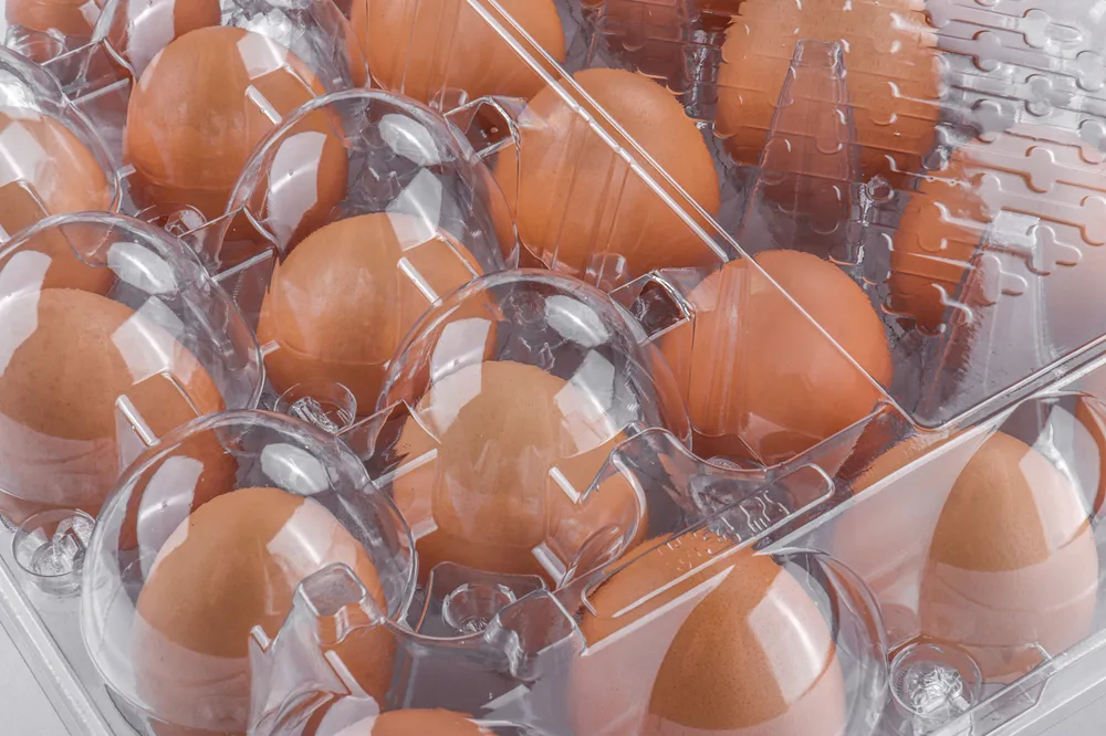 STL-30M-ChickenEgg-WhiteBackground-8