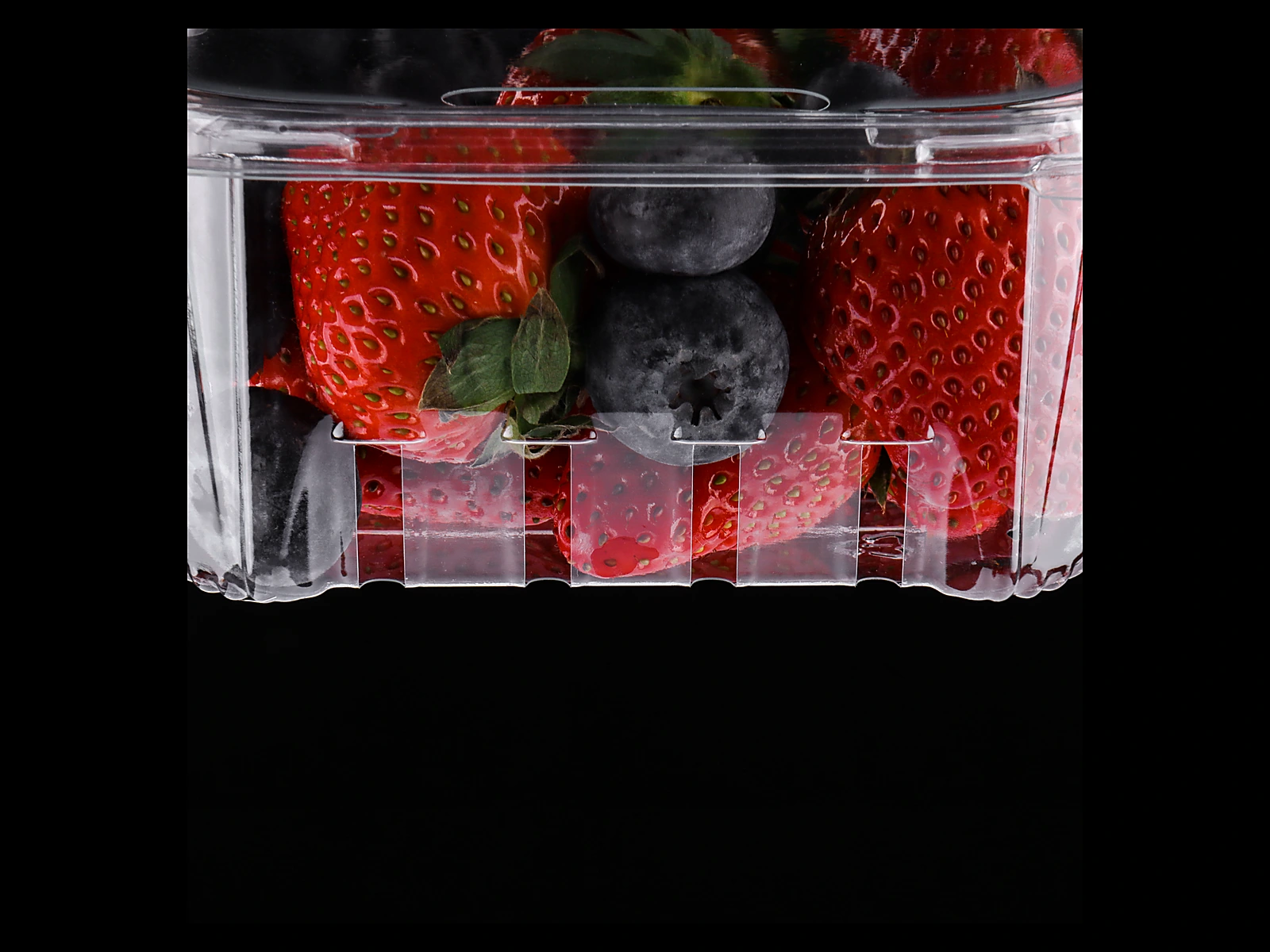 STL-400F-Strawberry-Blueberry-Clamshell