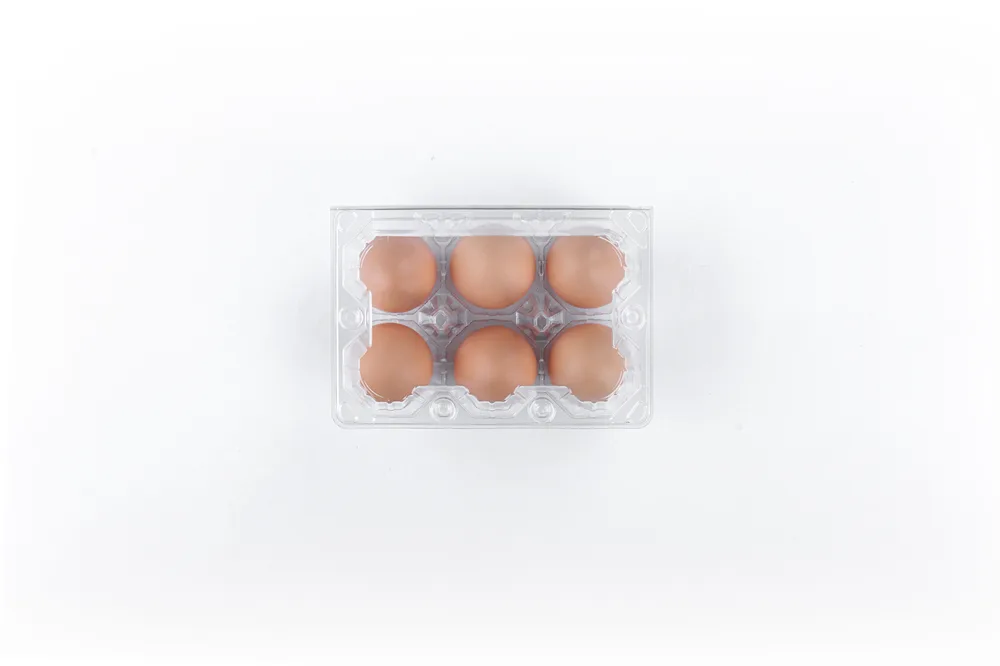 STL-6M-ChickenEgg-WhiteBackground-2