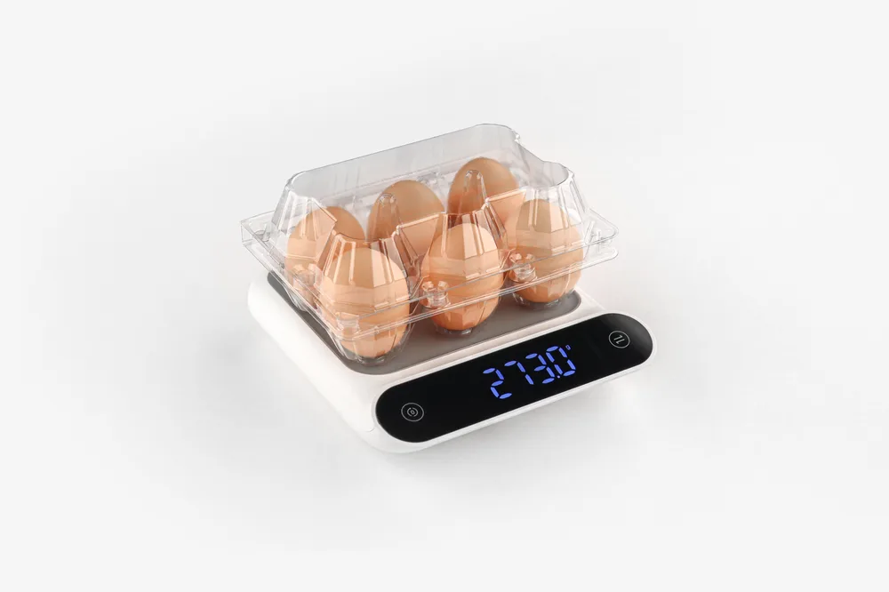 STL-6M-ChickenEgg-WhiteBackground-3