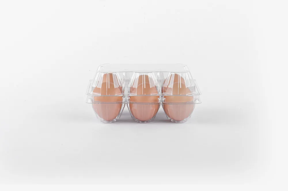 STL-6M-ChickenEgg-WhiteBackground-5