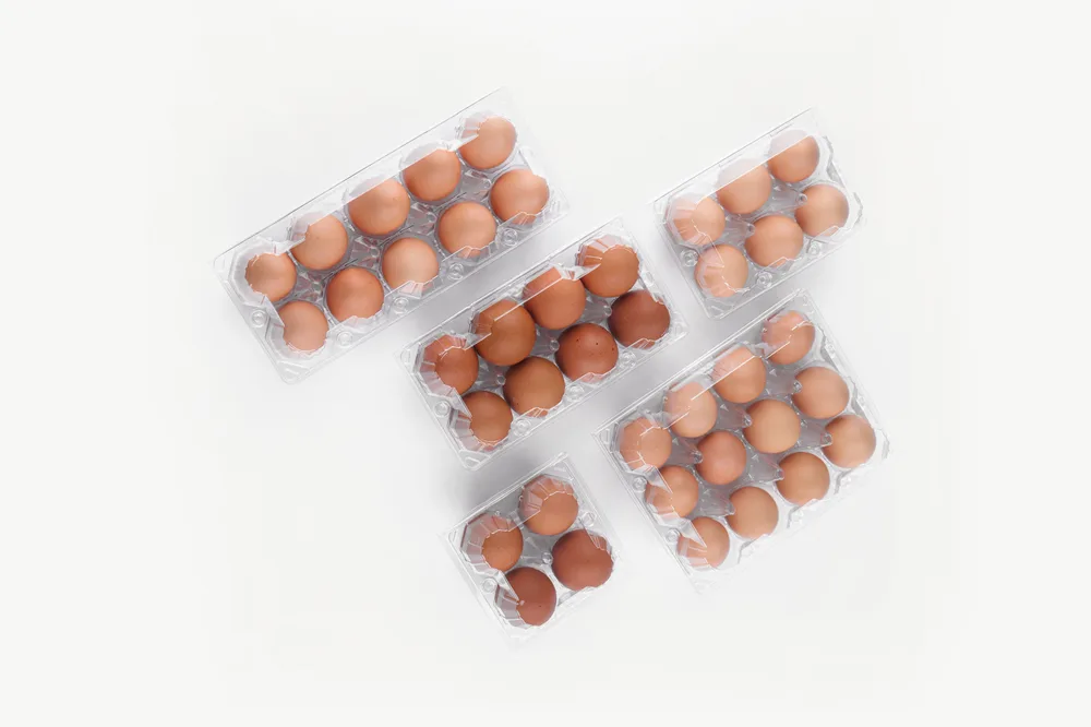 STL-6M-ChickenEgg-WhiteBackground-6