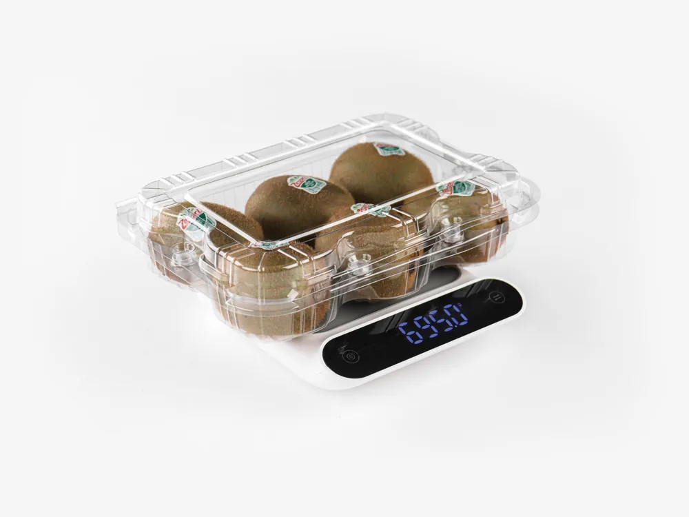 STL-6N kiwi clamshell container holding fresh kiwis (white bg)