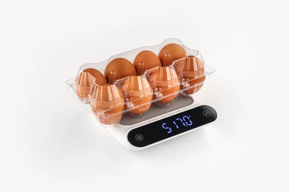 STL-8M-ChickenEgg-WhiteBackground-1