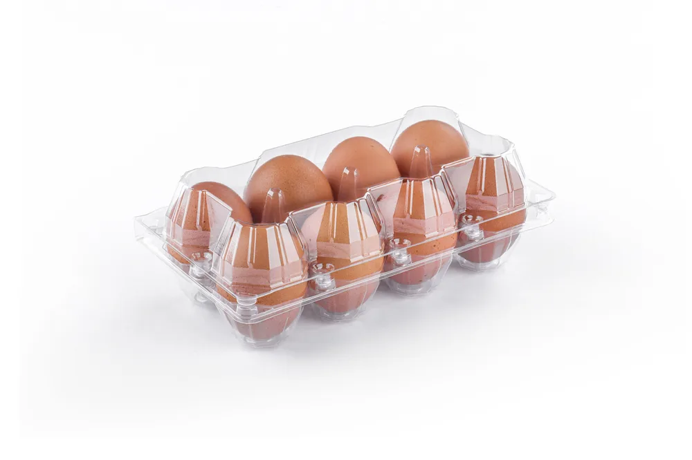 STL-8M-ChickenEgg-WhiteBackground-3
