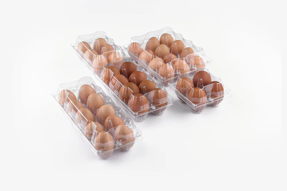 STL-8M-ChickenEgg-WhiteBackground-6