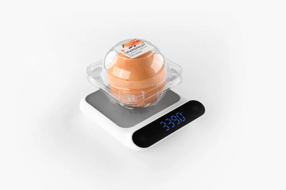 STL-AP1D 1-cavity apple clamshell container holding one fresh apples (white bg)