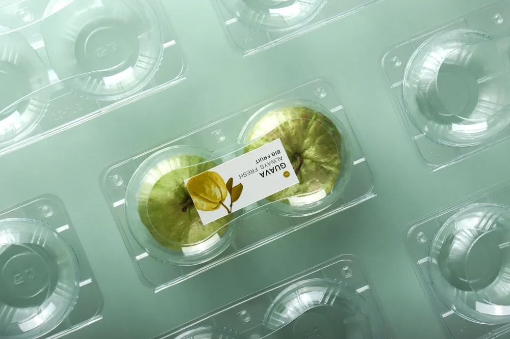 STL-AP2D 2-cavity apple and pear clamshell container holding two fresh fruits (scene)