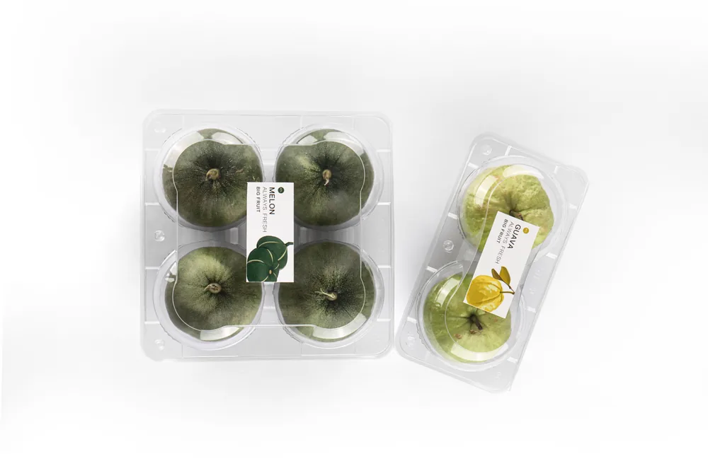STL-AP2D 2-cavity apple and pear clamshell container holding two fresh fruits (white bg)
