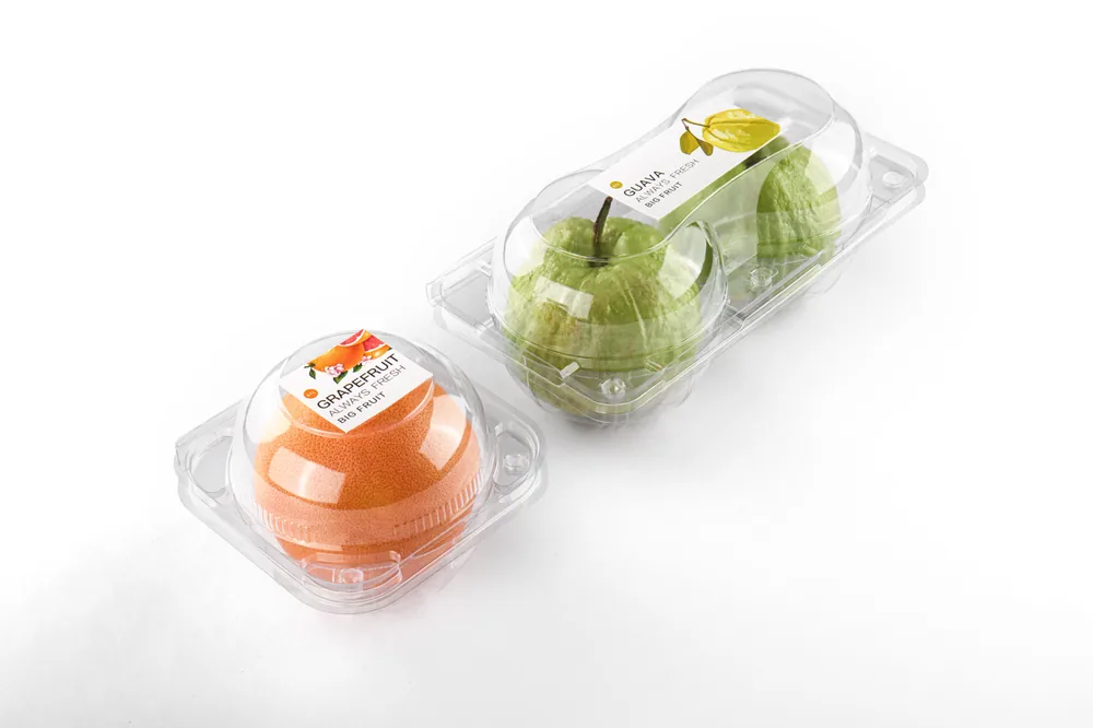 STL-AP2D 2-cavity apple and pear clamshell container holding two fresh fruits (white bg)