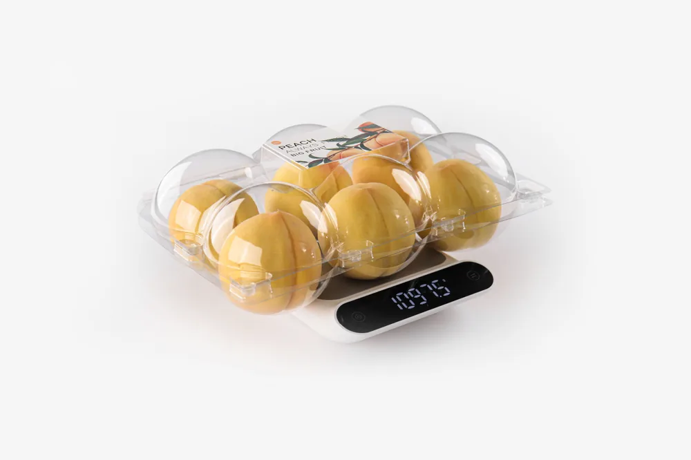 STL-AP6D 6-cavity apple and pear clamshell container holding six fresh fruits (white bg)